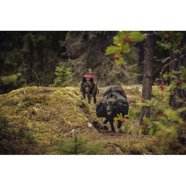 Klövjeväska från hurtta